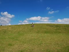 -春花秋色城市公园