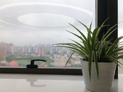 -同济大学附属口腔医院