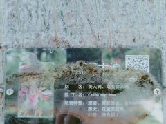 -深圳市人才园(深南大道店)