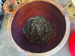-映象潇湘·小瑶村(植物园店)