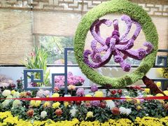 -杭州植物园