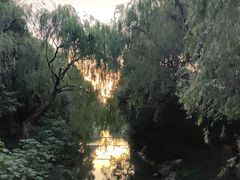 -杭州城北体育公园