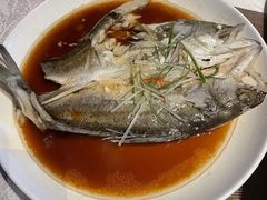 白蕉海鲈鱼-江南原著(中联广场店)