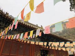 -北京上方山国家森林公园
