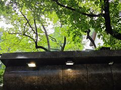 -洞亭火锅(防空洞总店)