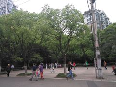 -七宝老街-闵行市民文化广场
