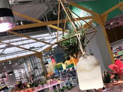 -KKV(深圳宏发大仟里店)