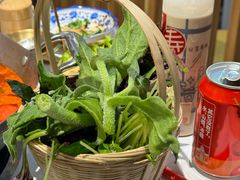 -王奋斗贵州酸汤牛肉火锅