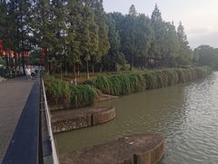 -东水关遗址公园