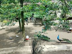 -梦幻奥陶纪景区