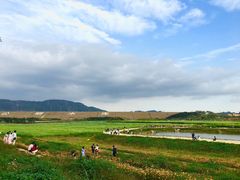 -光明小镇欢乐田园