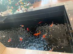 -天津波士信达奔驰4S店(卫津南路店)