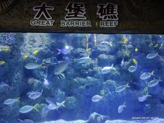 -杭州海底世界