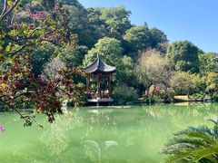 -云溪植物园