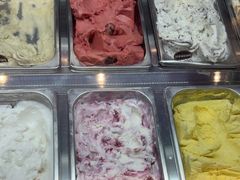 -iceason爱茜茜里·意大利健康冰淇淋(骑龙巷店)