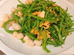 扇贝柱-船歌·鱼水饺青岛菜(闽江二路店)