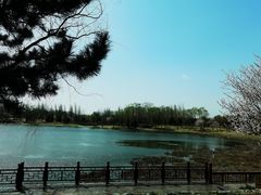 -北坞公园