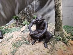 -北京周口店北京人遗址博物馆