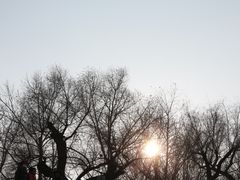 IMG_4400-斯大林公园