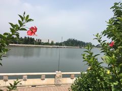 -长洲岛