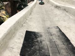 -哈尔滨热雪奇迹