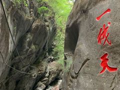 -黑河国家森林公园