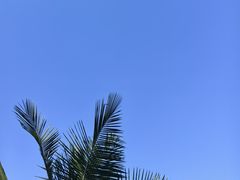 -光明港公园