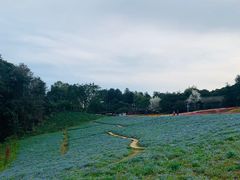 -保利石象湖景区