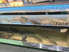 -边江铁锅炖鱼(振八街店)