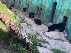 -宁波野生动物园