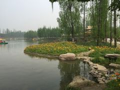 -秀丽东方