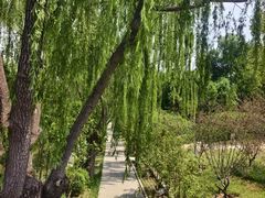 -元大都城垣遗址公园