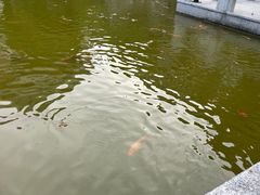 -嘉兴清池酒店温泉