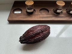 -Torch Coffee 炬点咖啡