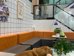 -半岛宠物医院24小时(科华中路店)