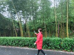 -明月山天沐温泉度假村