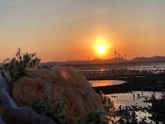 -长江澳风力发电景观区