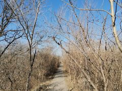 -元大都城垣遗址公园