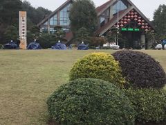 -铁山坪森林公园