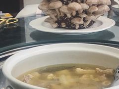 活体香菇-先机泉水鸡汤(南山老君洞店)