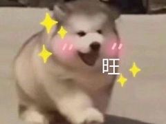 -西郊国际农产品交易中心