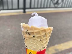 -蜜雪冰城(大智路店)