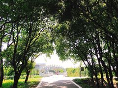 -同里国家湿地公园