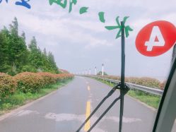 -水八仙生态园