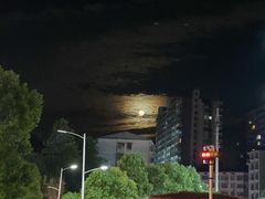 -海底捞火锅(青山湖万达夜宵主题店)