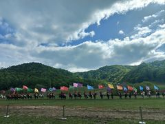 -关山草原