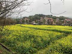 -红山村