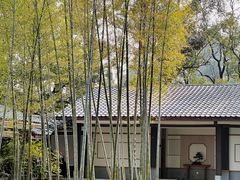 -南山植物园