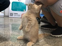 -宁波国际会展中心