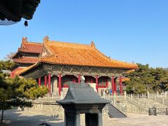 -北陵公园